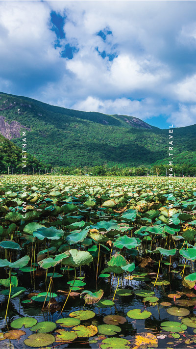 mobile wallpapers vietnam travel